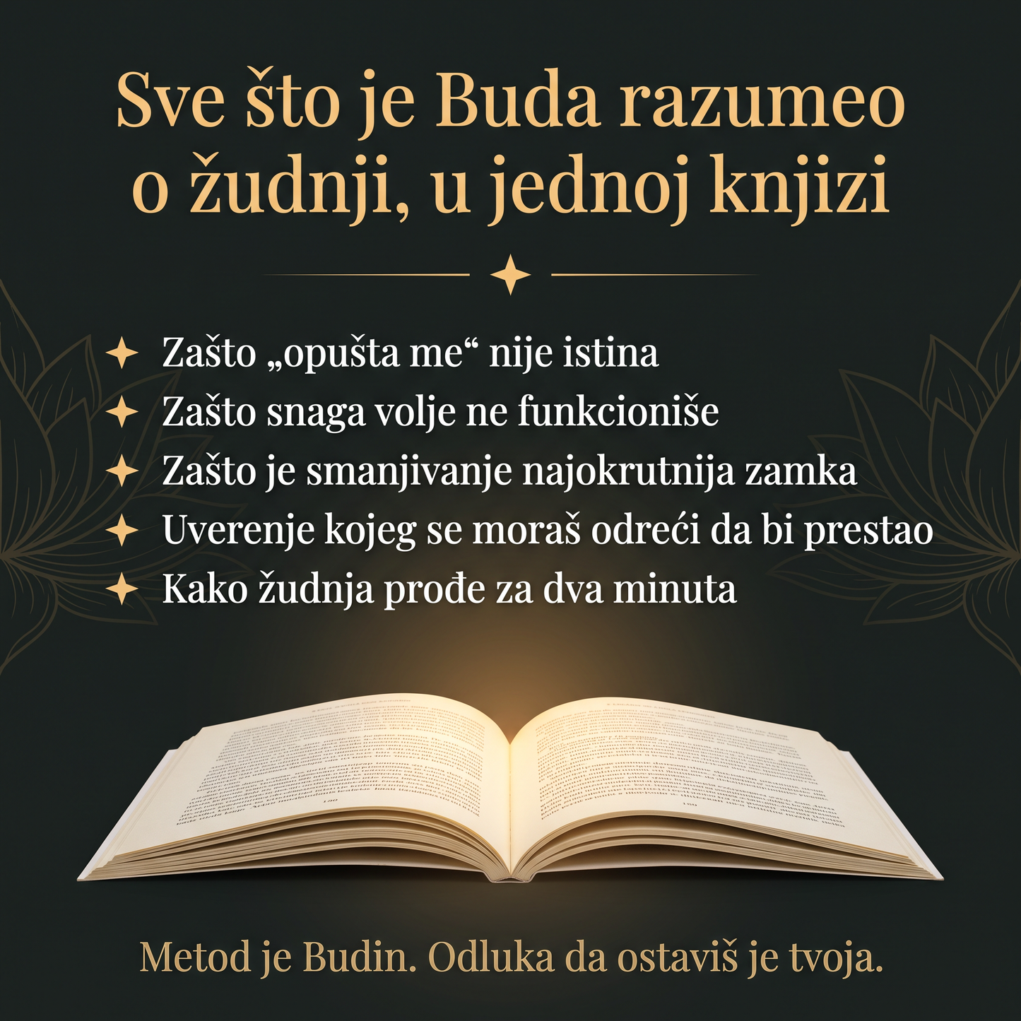 Sta se nalazi u knjizi